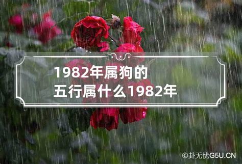 1982年屬什麼|1982年属什么 1982年属什么五行